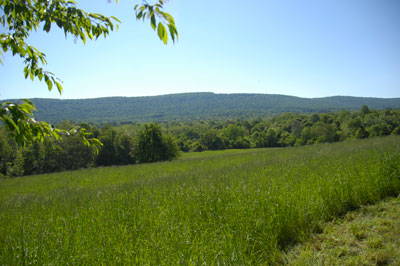 Creating a New State Park