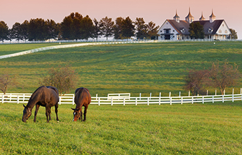 Turning Real Estate into Retirement